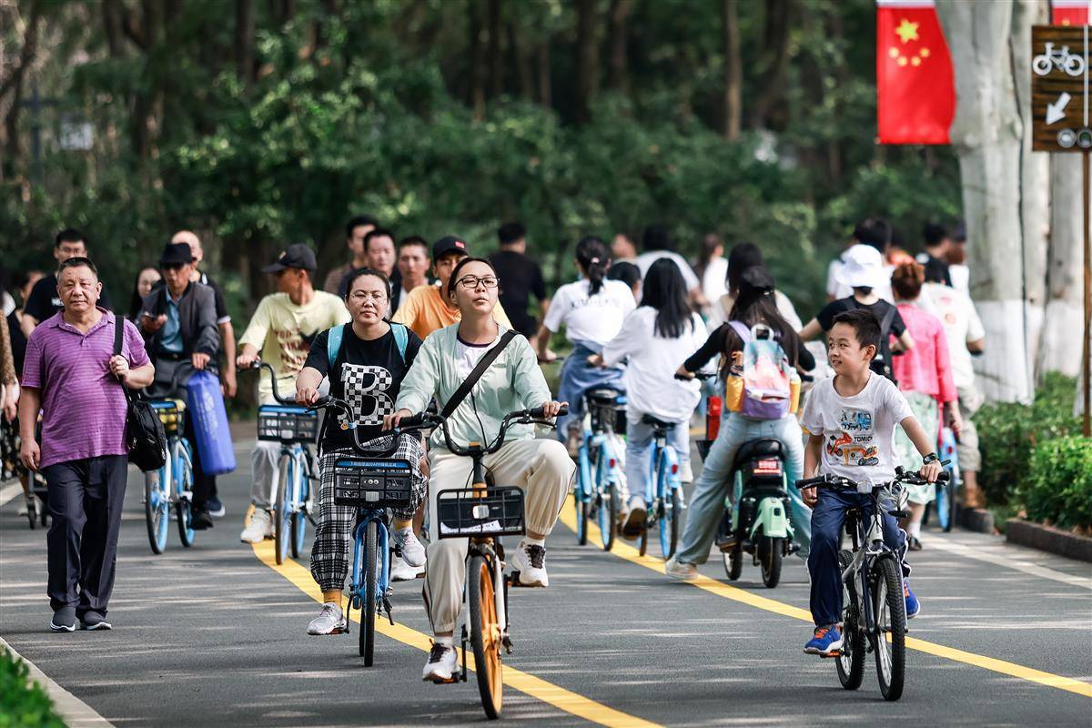 宝马娱乐在线城